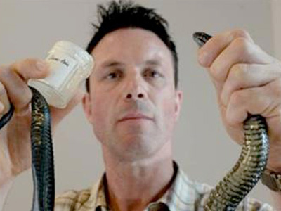 man milking snake