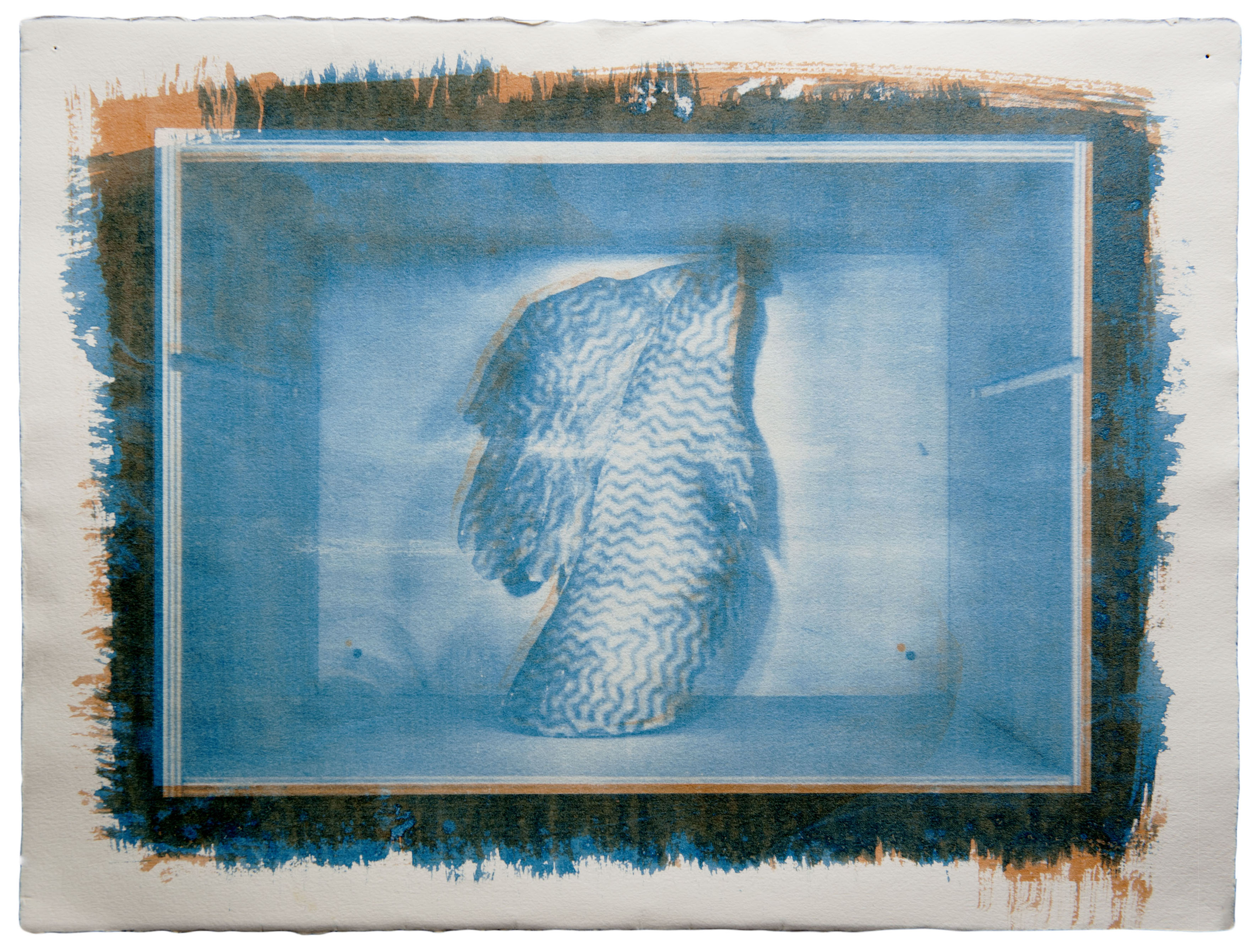 Soyoun Kim, 'Cabinet of curiosities of identity', 2011, Gum bichromate print, 28 x 38cm. Image courtesy the artist.