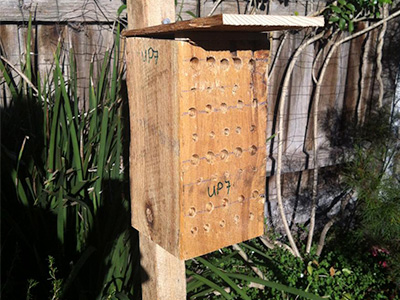 wooden bee-hive