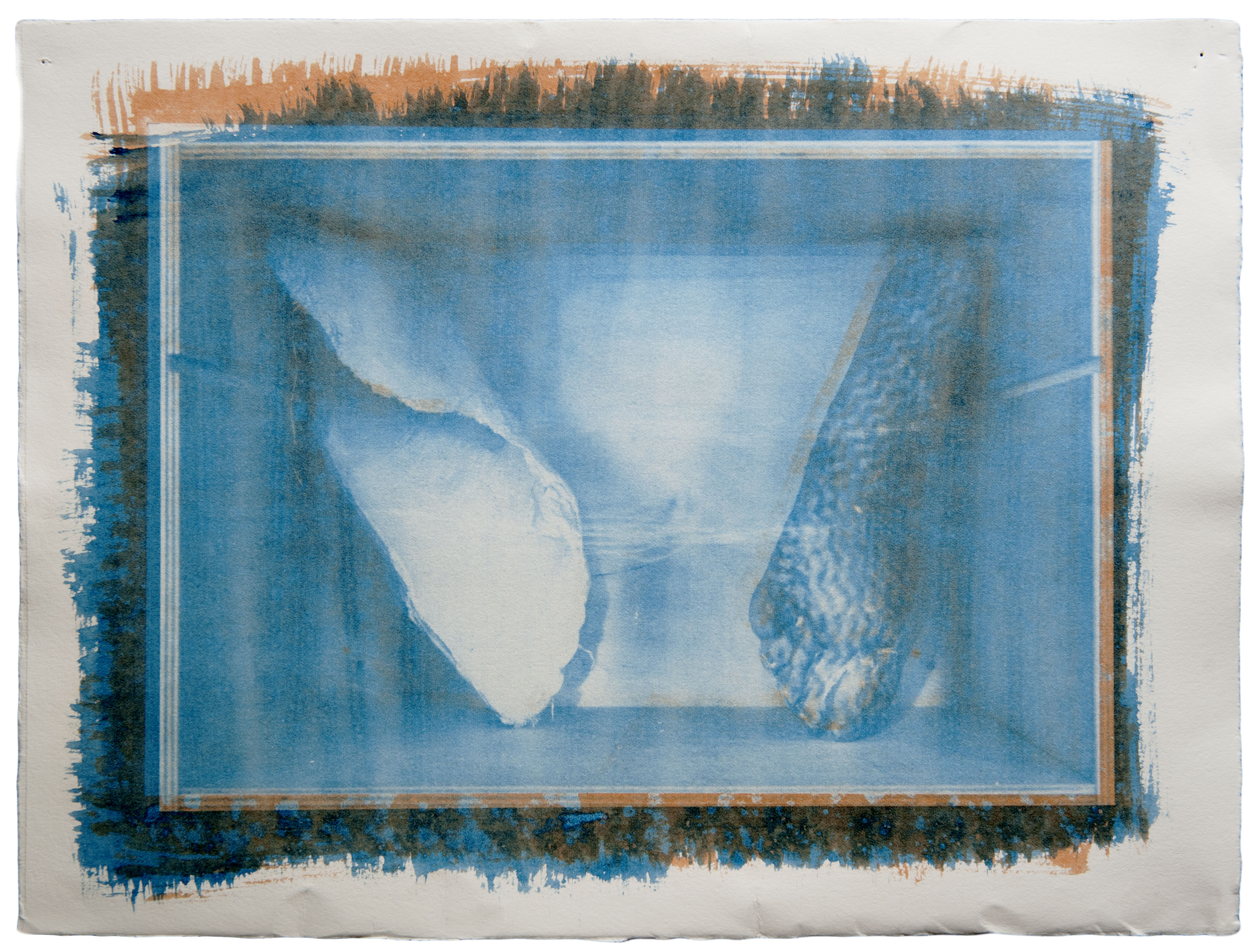 Soyoun Kim, 'Cabinet of curiosities of identity', 2011, Gum bichromate print, 28 x 38cm. Image courtesy the artist.